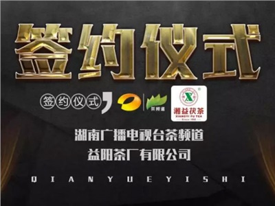 湘益茯，美茗揚 丨湘益茯茶與茶頻道達成長期戰(zhàn)略合作