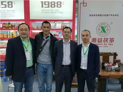 湘益茯茶6年耕耘，讓“金花”開遍巴蜀大地