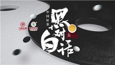 首屆黑白對(duì)話高峰論壇圓滿落幕！湘益茯茶備受關(guān)注！