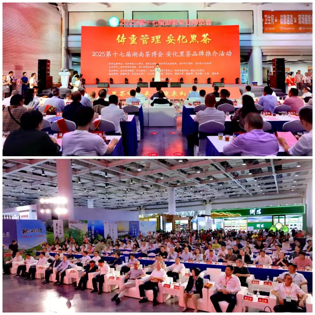 破局邊銷二十載，開啟茯茶新紀元——湘益茯茶“紀廿”新品璀璨發(fā)布